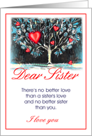 dear sister/miss you card