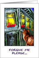 cat & window card