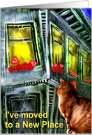 cat&window card