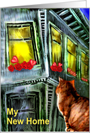 cat&window/invitation card