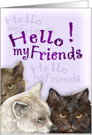 friendly cats card
