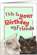 bday/cat card