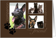 Pet Sympathy -Custom Photo Card