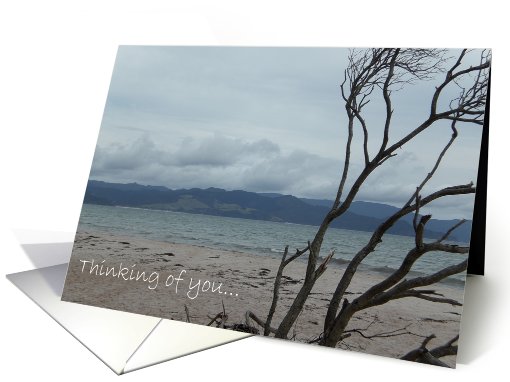 Thinking of you card (448210)