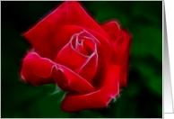 Romantic Red Rose blossom blank inside card