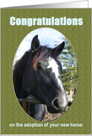 Congratuations Adopting Horse new pet card