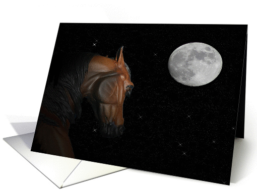 Reach for the Stars horse looks at the moon card (459397)