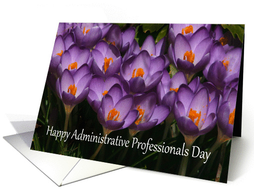 Happy Administrative Professional's Day crocus card (460639)