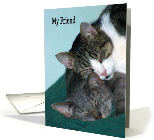 Happy Friendship Day two cats cuddling card (464775)