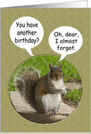 Happy Birthday squirrel humor card
