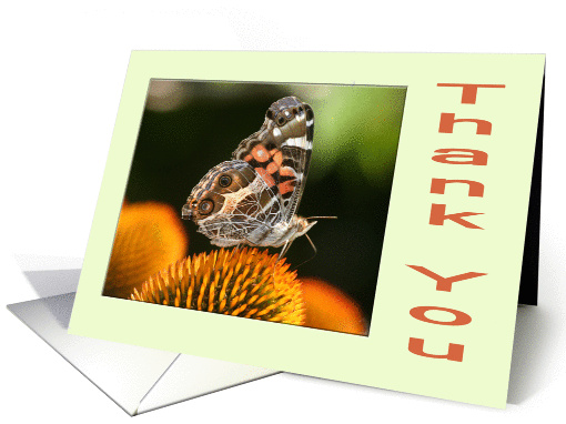 Thank you butterfly card (837483)