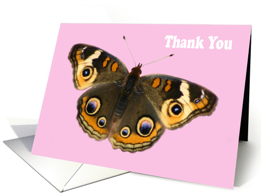 Thank you butterfly card (837500)