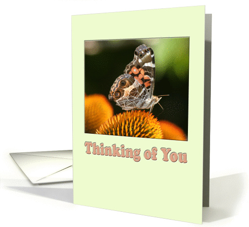 Thinking of You butterfly card (837541)