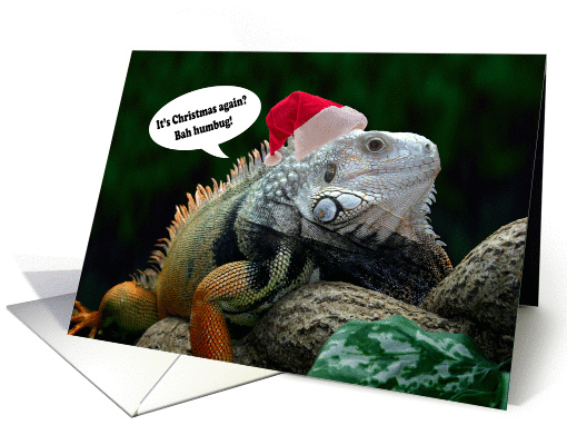 Christmas bah humbug iguana card (838181)