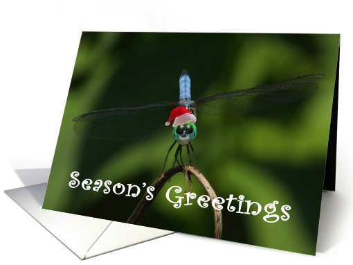 Season's Greeting dragonfly card (838184)