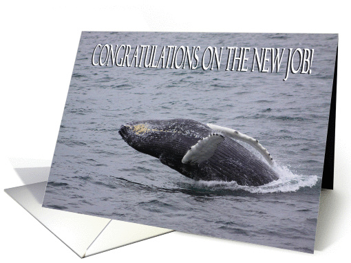 Congratulations on the new job whale card (844318)