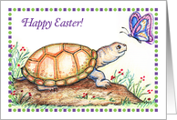 Happy Easter, turtle/tortoise theme, butterfly card