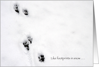 Pet sympathy, footprints in snow card