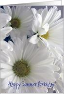 Summer Birthday for her, white daisies card