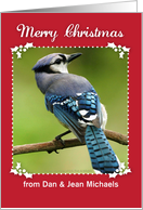 Custom Name Merry Christmas, Blue Jay card