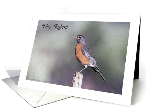 Get Well for Robin card (1115708)