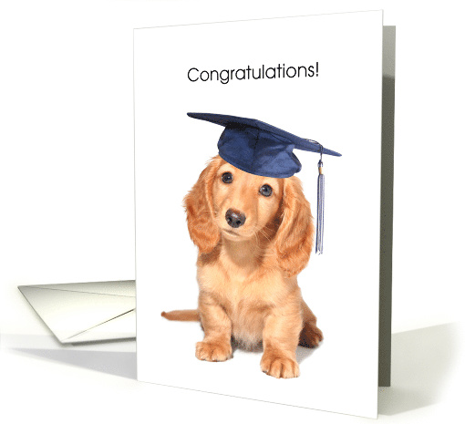 Congratulations, Grandson Getting Diploma, dog card (1198628)