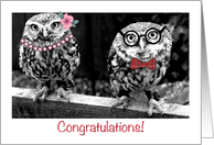 Congratulations, both of us, owls card