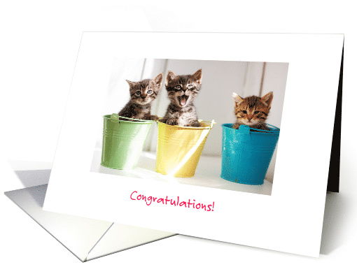 Congratulations on New Litter of Kittens card (1282374)