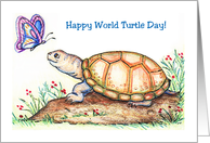 World Turtle Day, May 23rd, turtle, butterfly card