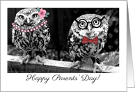 Parents’ Day, owls card