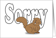 Apology, squirrel theme card