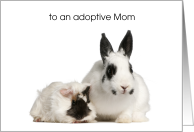 Adoptive Mom Mother’s Day, Bunny, Guinea Pig card