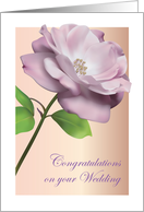 Congrats, Friend’s Marriage, pink rose card