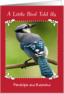 Custom Name Christmas for expecting grandparents, blue jay card