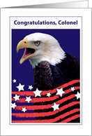 Congrats, Promotion, U. S. A. F. Colonel, Bald Eagle card