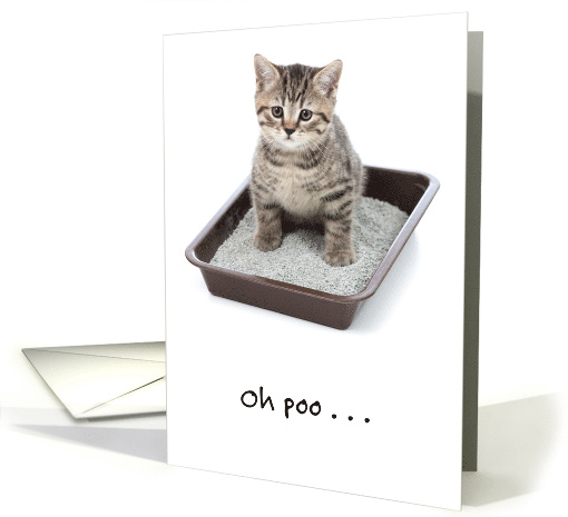 Kitten 99 Birthday, litter box Poo humor card (1484944)