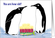 60th Birthday for Son in Law, Penguins, Fish Cake card