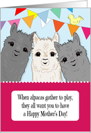 Alpacas Happy Mother’s Day Wish card