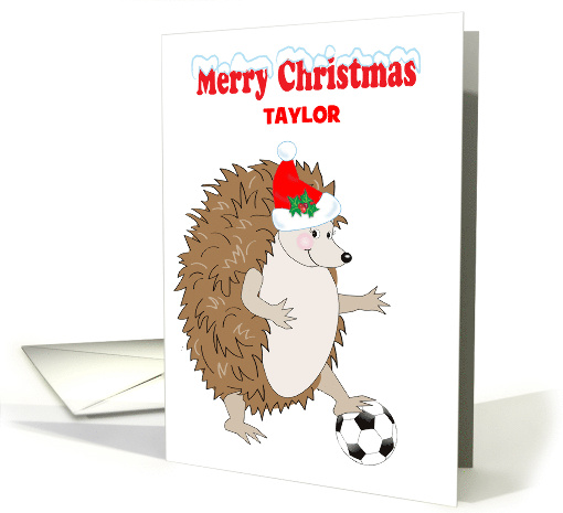 Custom Name Soccer Christmas Hedge Hog card (1785620)