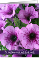 Hungarian Lavender Petunias Sympathy Blank card