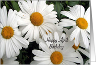 Birthday April White Daisies card