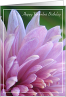 November Birthday Pink Chrysanthemum card