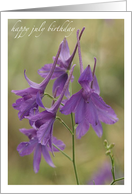 July Birthday Purple Larkspur card