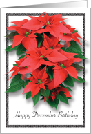 December Birthday Poinsettias card