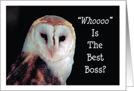 Boss’s Day / From all of us, owl Whooo card