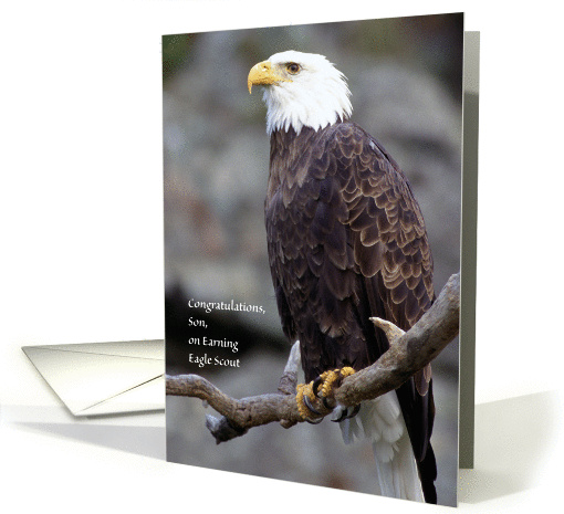 Eagle Scout / Son card (674753)