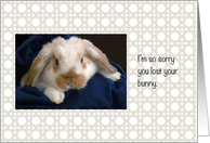 Pet Sympathy / Loss of Pet Rabbit card