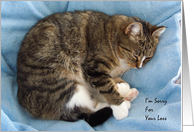 Pet Sympathy / Loss of Cat card