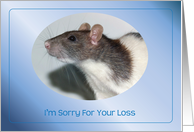 Pet Sympathy / Loss of Pet Rat card