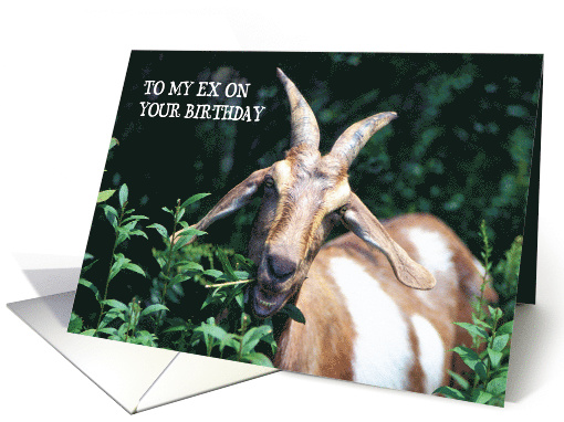 Birthdays To Ex, Goat, Humor card (759342)